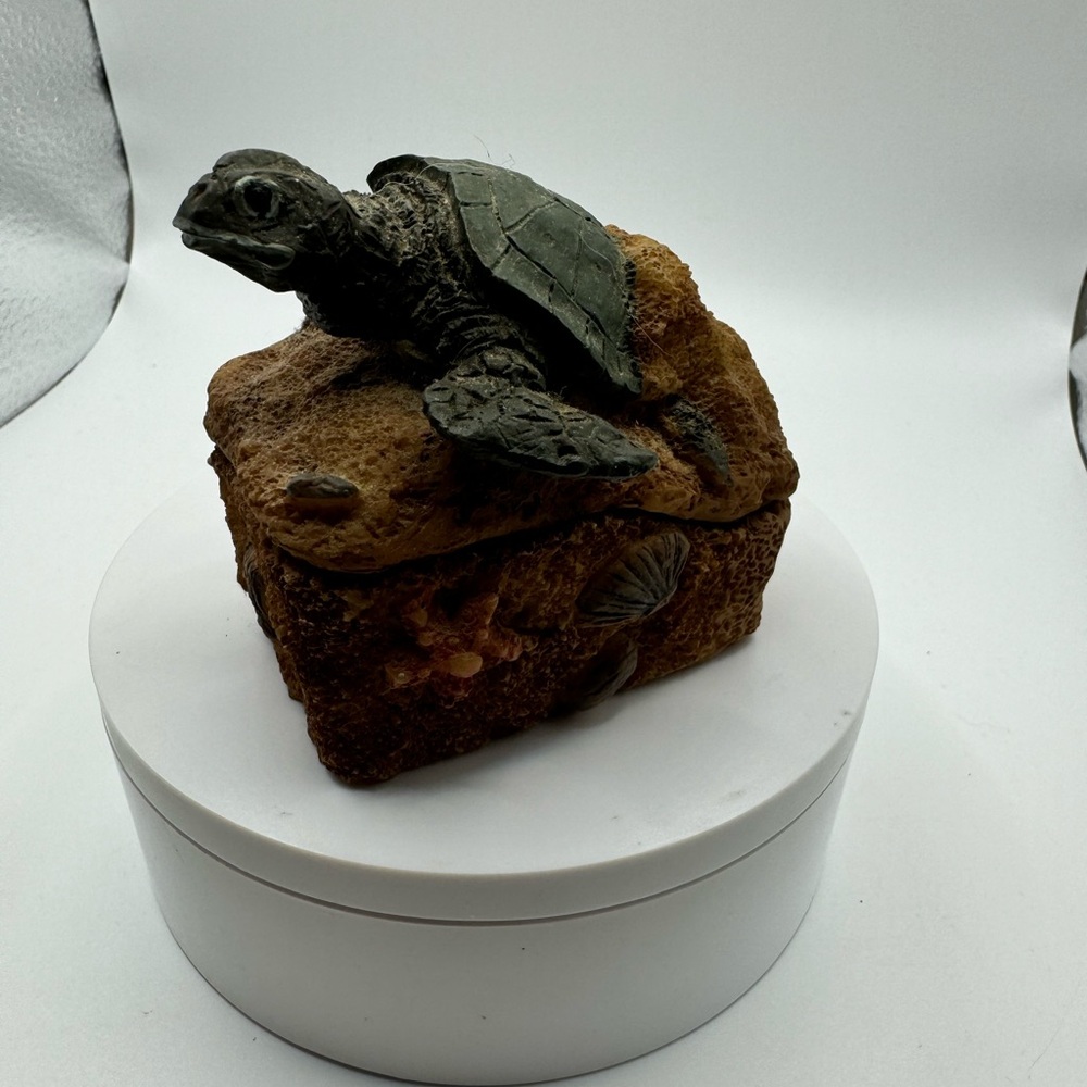 Turtle Box - Picture 4 of 6